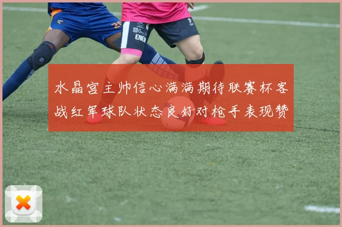 水晶宫主帅信心满满期待联赛杯客战红军球队状态良好对枪手表现赞赏