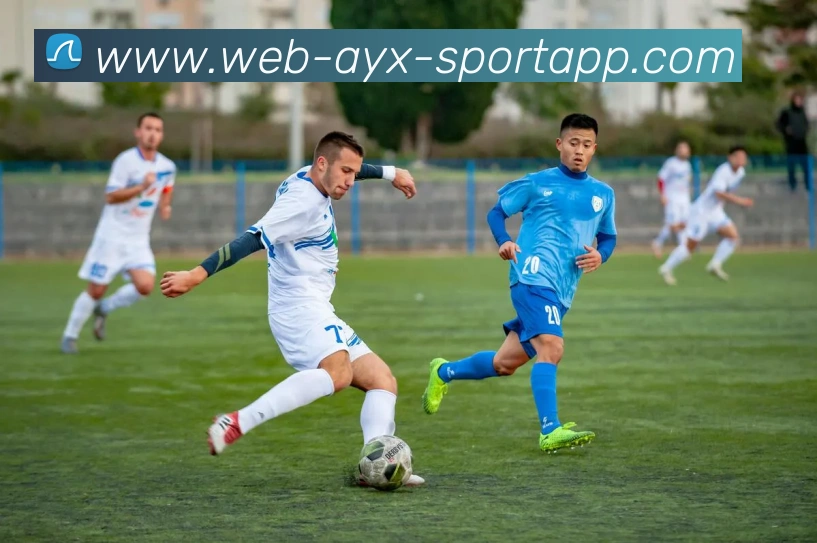 爱游戏体育平台生态图